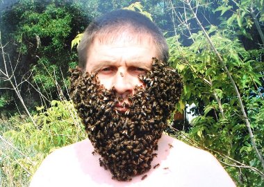 Борода из пчёл